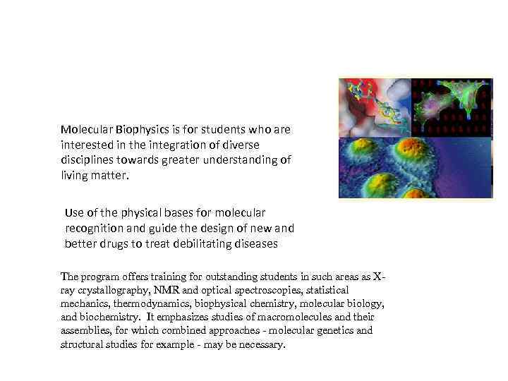 Molecular Biophysics is for students who are interested in the integration of diverse disciplines