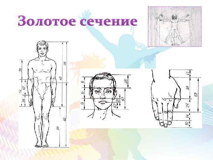 Золотое сечение 