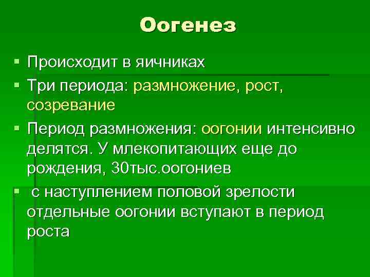 Оогенез § Происходит в яичниках § Три периода: размножение, рост, созревание § Период размножения: