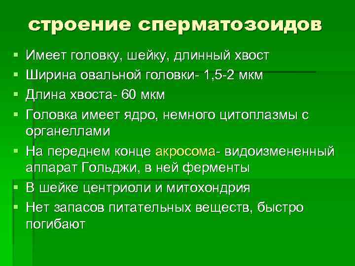 строение сперматозоидов § § § § Имеет головку, шейку, длинный хвост Ширина овальной головки-