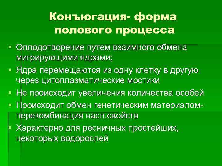 Конъюгация- форма полового процесса § Оплодотворение путем взаимного обмена мигрирующими ядрами; § Ядра перемещаются