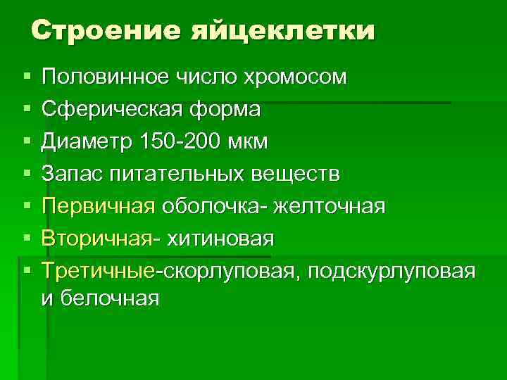 Строение яйцеклетки § § § § Половинное число хромосом Сферическая форма Диаметр 150 -200