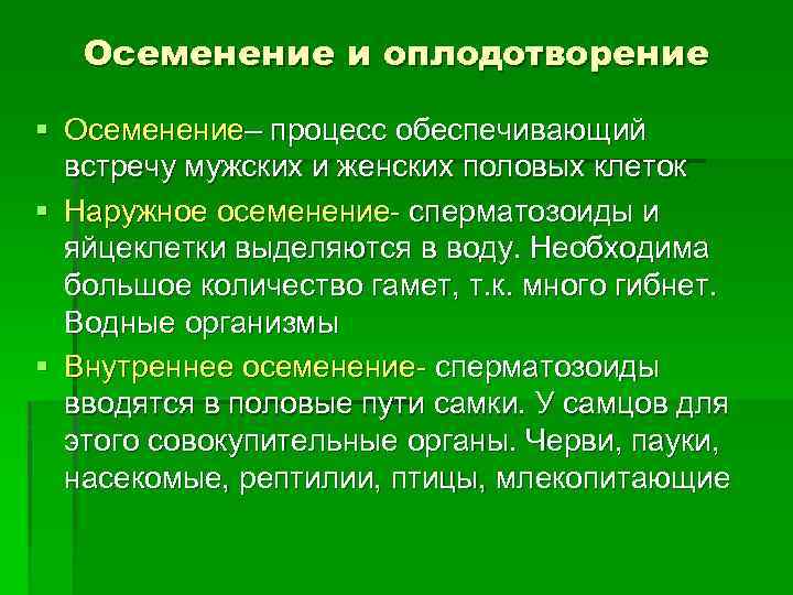 Осеменение и оплодотворение § Осеменение– процесс обеспечивающий встречу мужских и женских половых клеток §