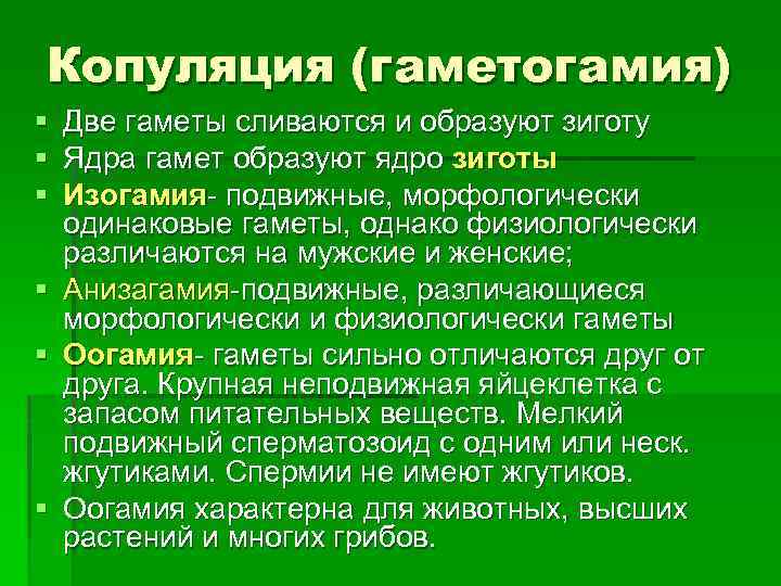 Копуляция (гаметогамия) § § § Две гаметы сливаются и образуют зиготу Ядра гамет образуют