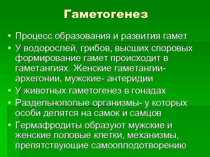 Гаметогенез § Процесс образования и развития гамет § У водорослей, грибов, высших споровых формирование