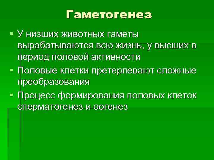 Гаметогенез § У низших животных гаметы вырабатываются всю жизнь, у высших в период половой