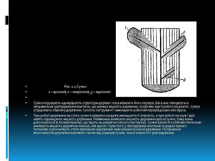  Рис. 2. 1 Сучки: 1 – зрослий, 2 – неврослий, 3 – зарослий.