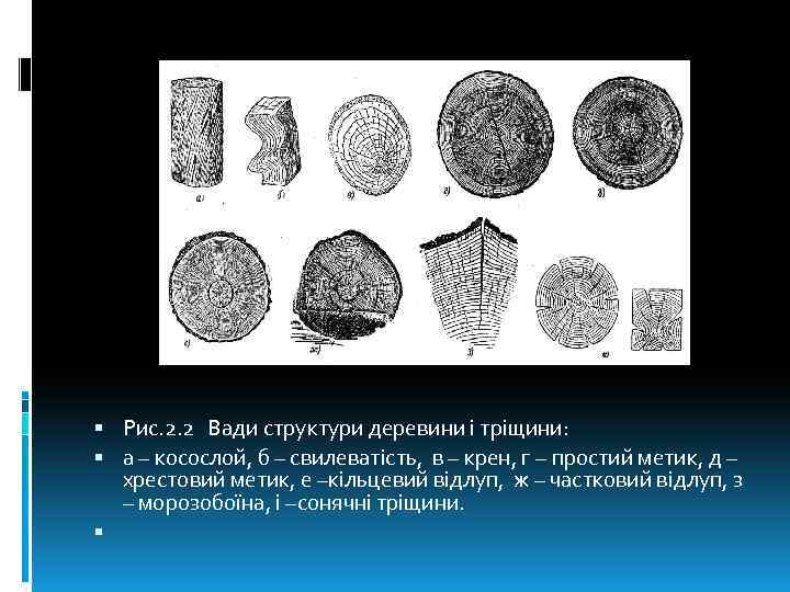  Рис. 2. 2 Вади структури деревини і тріщини: а – косослой, б –