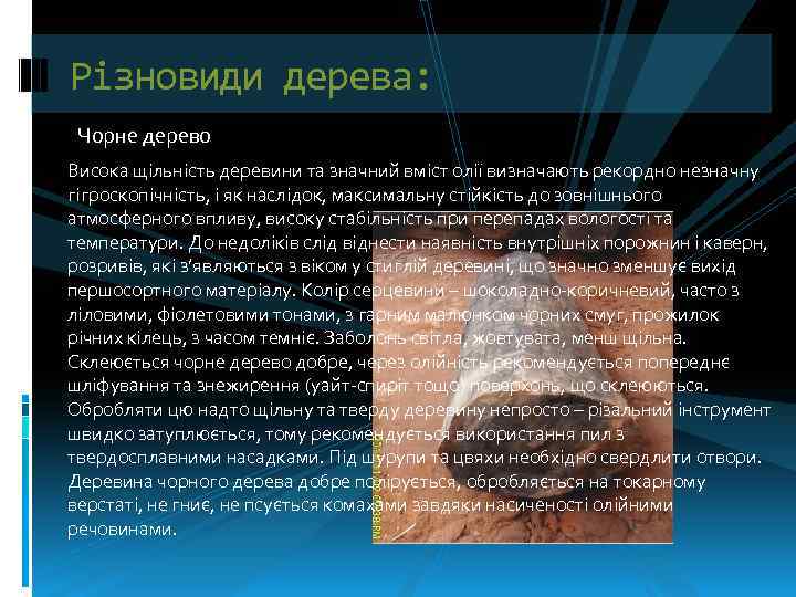 Різновиди дерева: Чорне дерево Висока щільність деревини та значний вміст олії визначають рекордно незначну