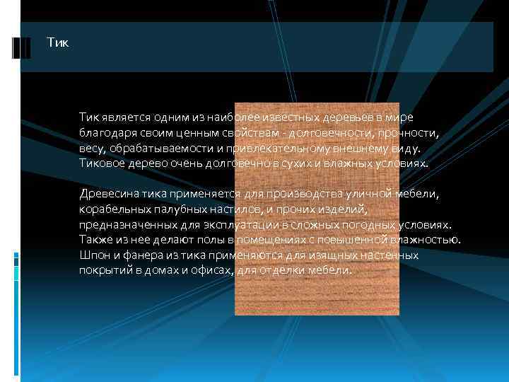 Тик является одним из наиболее известных деревьев в мире благодаря своим ценным свойствам долговечности,