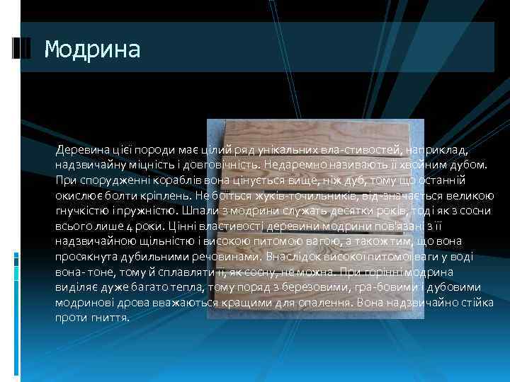 Модрина Деревина цієї породи має цілий ряд унікальних вла стивостей, наприклад, надзвичайну міцність і