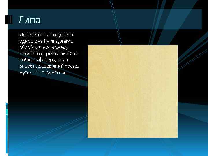Липа Деревина цього дерева однорідна і м'яка, легко обробляється ножем, стамескою, різаками. З неї