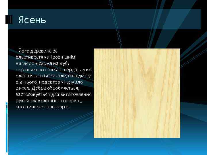 Ясень Його деревина за властивостями і зовнішнім виглядом схожа на дуб: порівняльно важка і