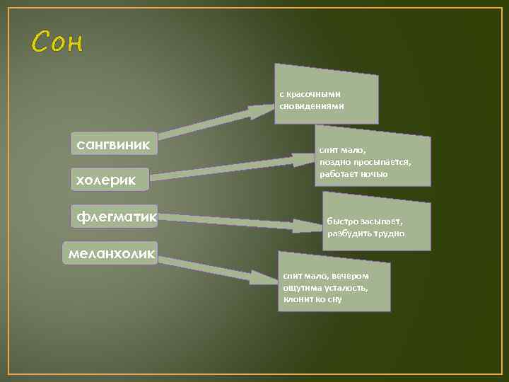 Сон с красочными сновидениями сангвиник холерик флегматик спит мало, поздно просыпается, работает ночью быстро