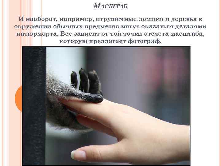 МАСШТАБ И наоборот, например, игрушечные домики и деревья в окружении обычных предметов могут оказаться