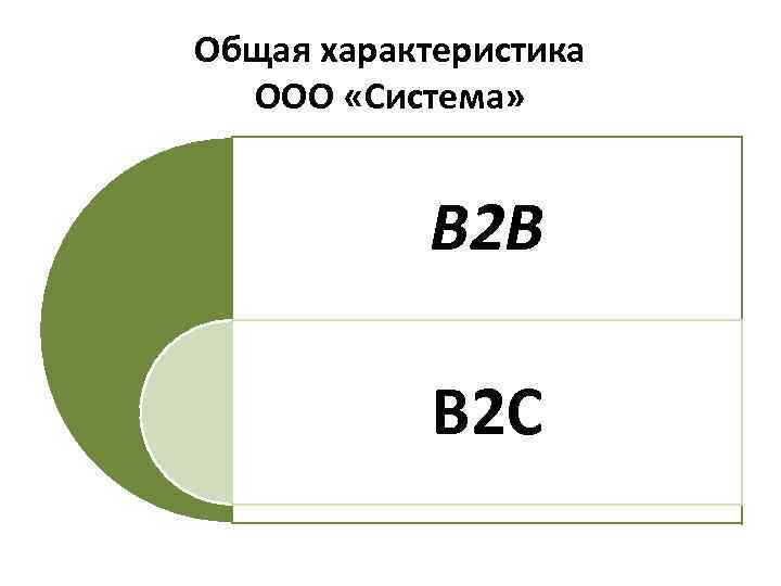 Общая характеристика ООО «Система» B 2 B B 2 C 