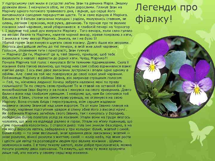 У підгірському селі жили в сусідстві леґінь Іван та дівчина Марія. Змалку дружили вони.