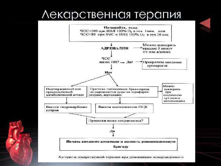 Вкладыш карта реанимации и стабилизации состояния новорожденных детей в родильном зале