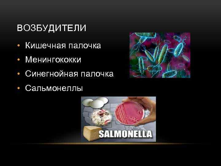 ВОЗБУДИТЕЛИ • Кишечная палочка • Менингококки • Синегнойная палочка • Сальмонеллы 