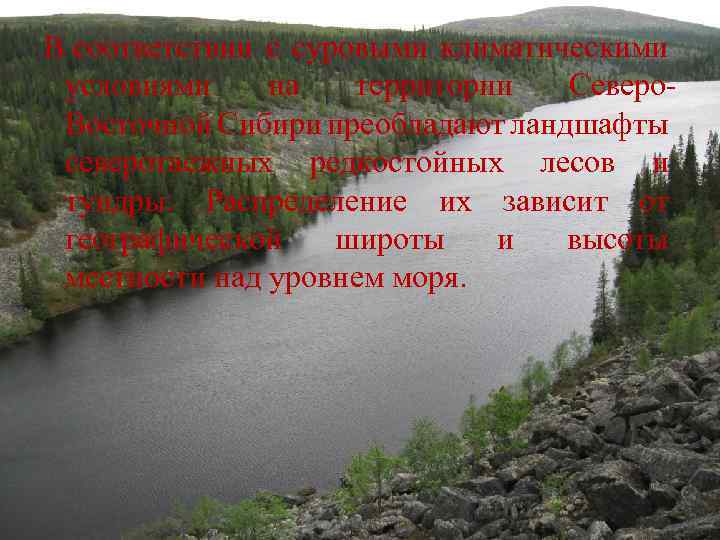 В соответствии с суровыми климатическими условиями на территории Северо. Восточной Сибири преобладают ландшафты северотаежных