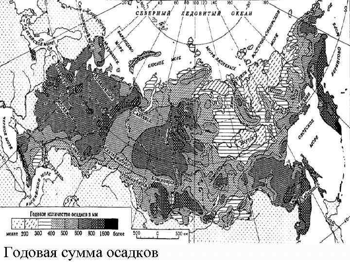 Годовая сумма осадков 