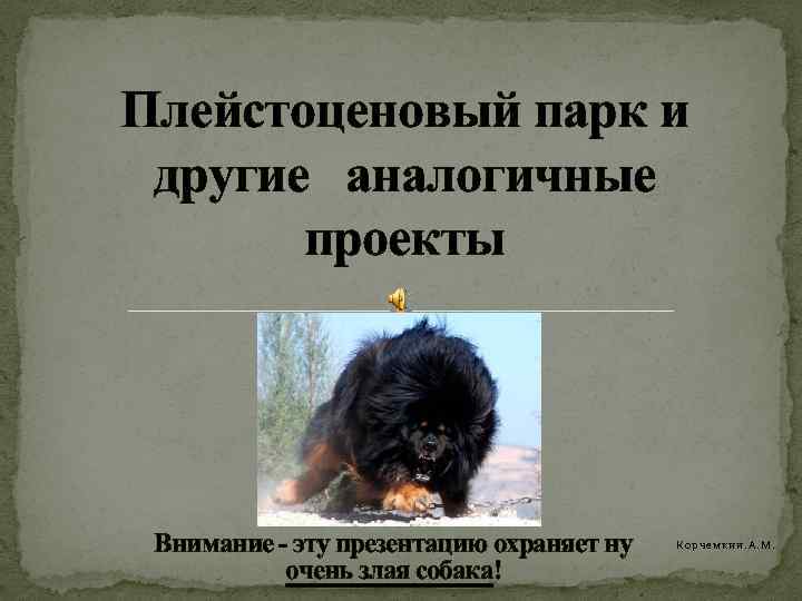 Плейстоценовый парк и другие аналогичные проекты Внимание - эту презентацию охраняет ну очень злая