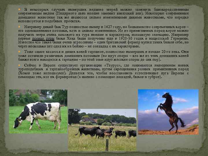 В некоторых случаях вымерших недавно зверей можно заменить близкородственным современным видом (Пещерного льва вполне