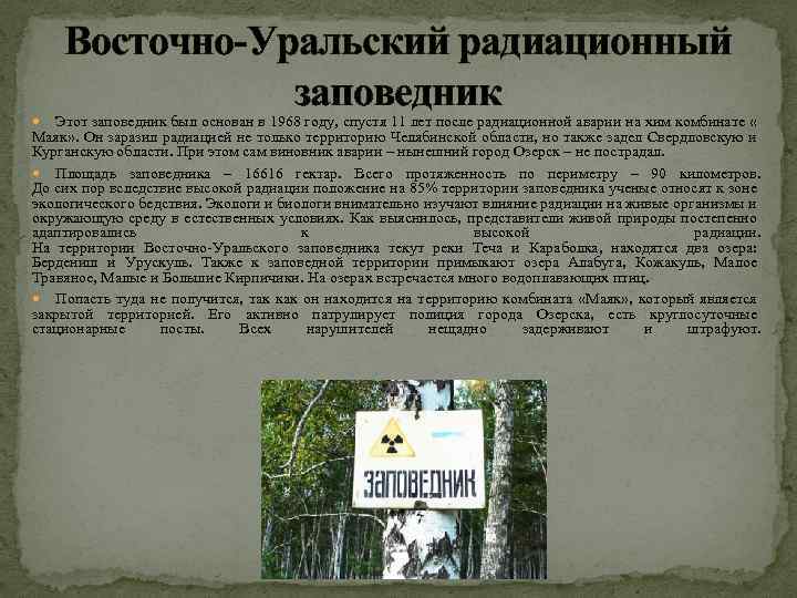 Восточно-Уральский радиационный заповедник Этот заповедник был основан в 1968 году, спустя 11 лет после