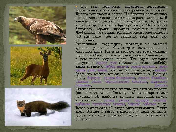  Для этой территории характерна лесостепная растительность: березовые леса чередуются со степями. Иногда встречаются