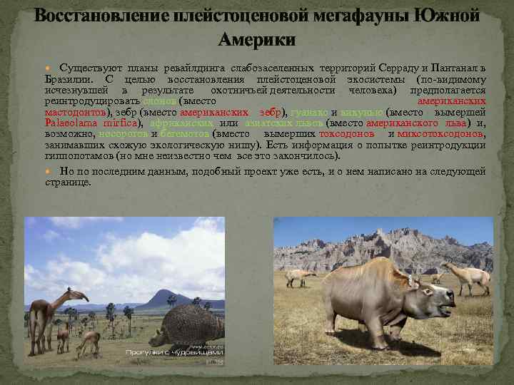 Восстановление плейстоценовой мегафауны Южной Америки Существуют планы ревайлдинга слабозаселенных территорий Серраду и Пантанал в