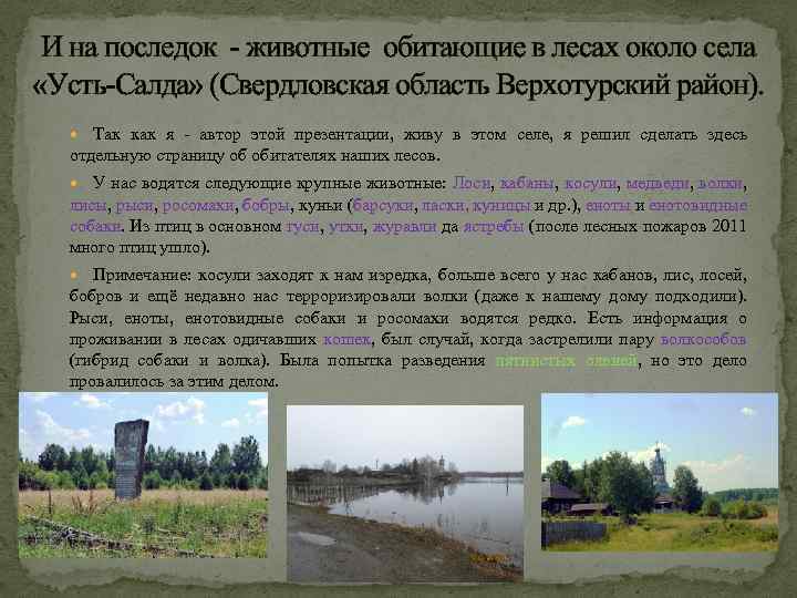 И на последок - животные обитающие в лесах около села «Усть-Салда» (Свердловская область Верхотурский