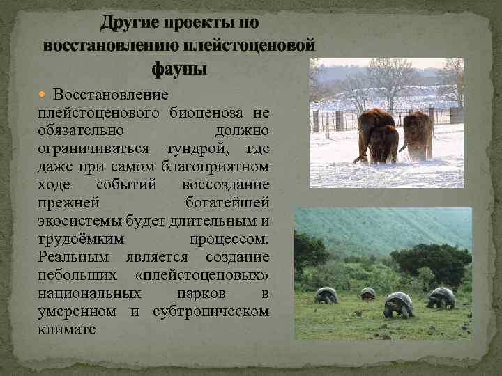 Другие проекты по восстановлению плейстоценовой фауны Восстановление плейстоценового биоценоза не обязательно должно ограничиваться тундрой,