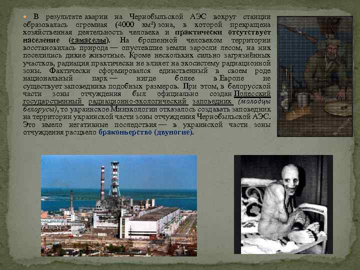  В результате аварии на Чернобыльской АЭС вокруг станции образовалась огромная (4000 км²) зона,