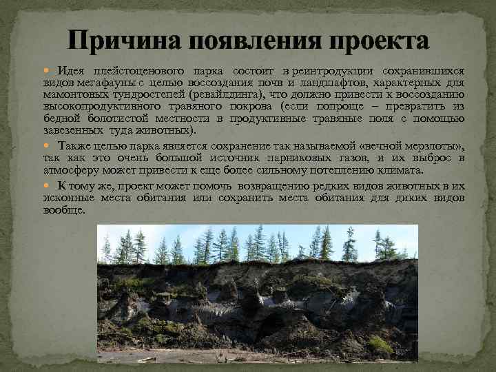 Причина появления проекта Идея плейстоценового парка состоит в реинтродукции сохранившихся видов мегафауны с целью