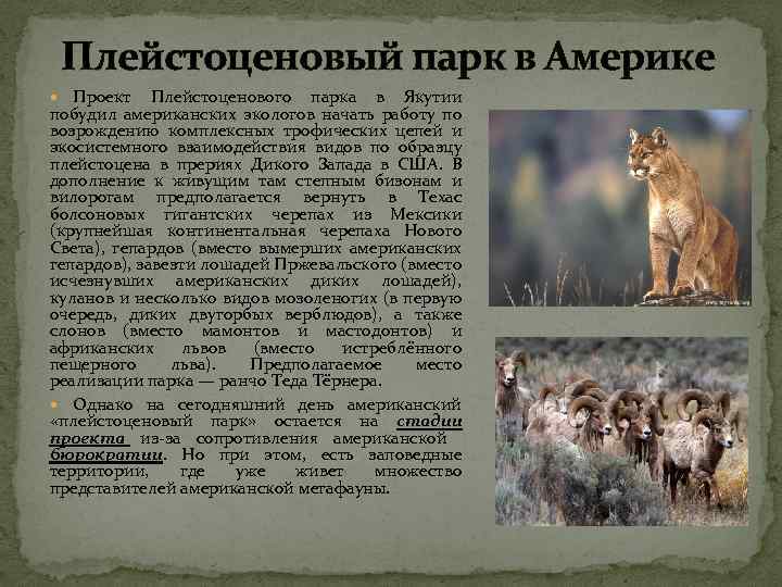 Плейстоценовый парк в Америке Проект Плейстоценового парка в Якутии побудил американских экологов начать работу