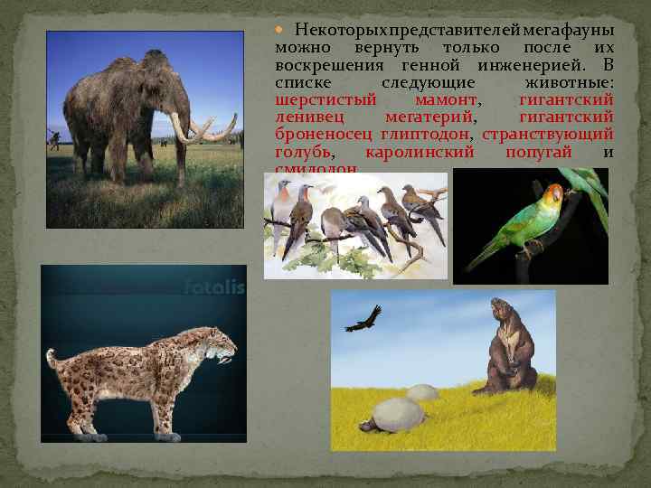  Некоторых представителей мегафауны можно вернуть только после их воскрешения генной инженерией. В списке