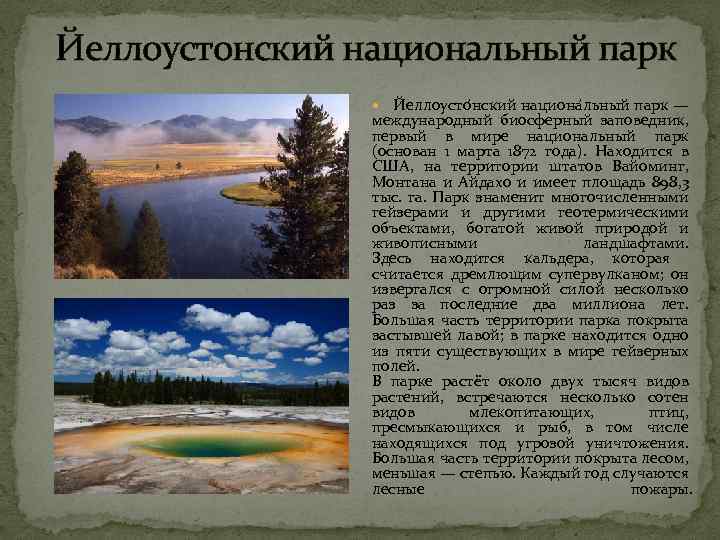 Йеллоустонский национальный парк Йеллоусто нский национа льный парк — международный биосферный заповедник, первый в