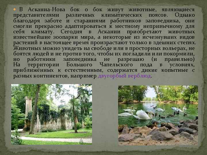  В Асканиа-Нова бок о бок живут животные, являющиеся представителями различных климатических поясов. Однако