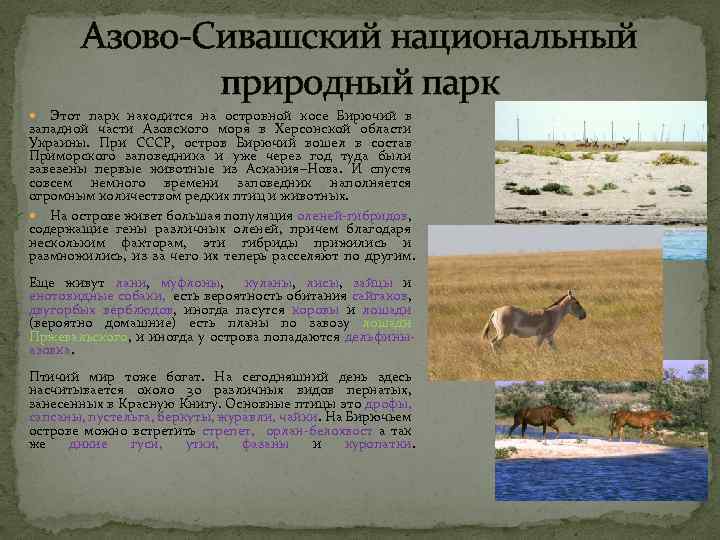 Азово-Сивашский национальный природный парк Этот парк находится на островной косе Бирючий в западной части