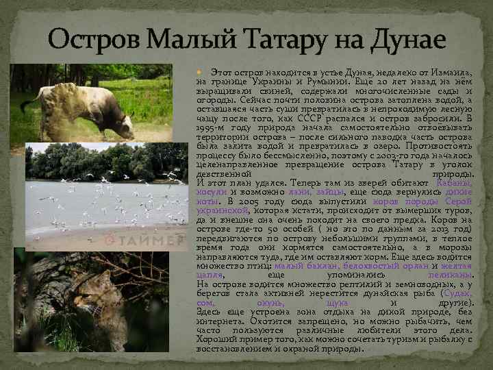 Остров Малый Татару на Дунае Этот остров находится в устье Дуная, недалеко от Измаила,