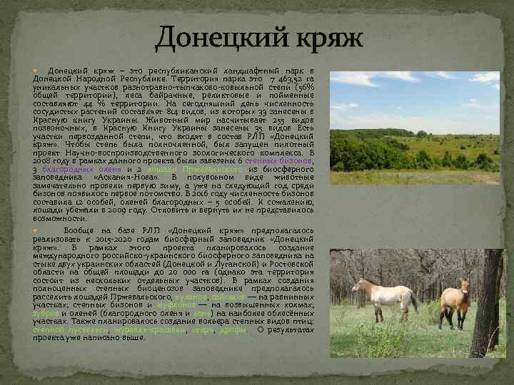 Донецкий кряж – это республиканский ландшафтный парк в Донецкой Народной Республике. Территория парка это