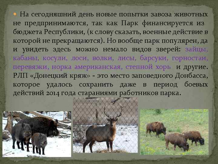  На сегодняшний день новые попытки завоза животных не предпринимаются, так как Парк финансируется