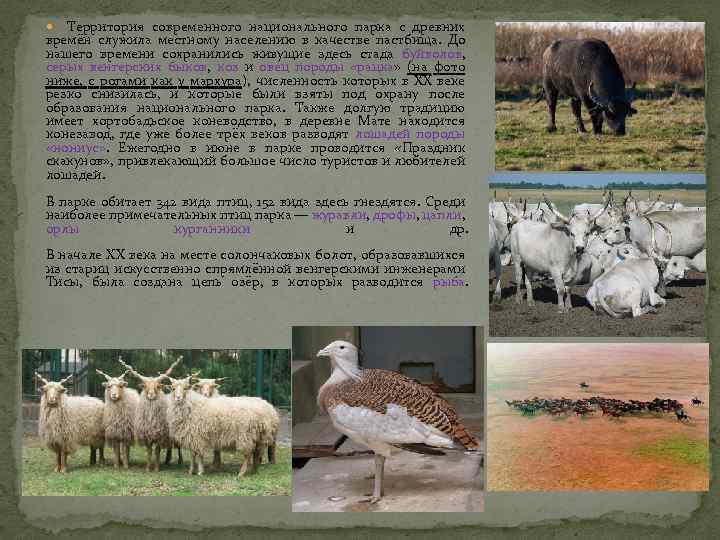 Территория современного национального парка с древних времён служила местному населению в качестве пастбища. До