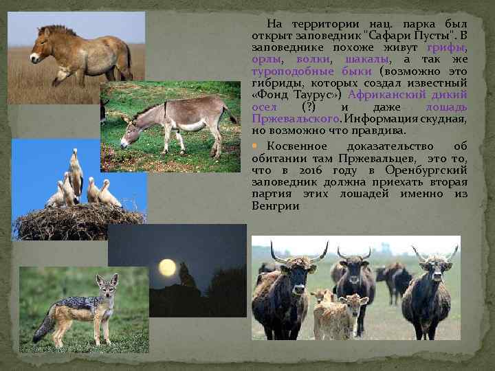 На территории нац. парка был открыт заповедник 