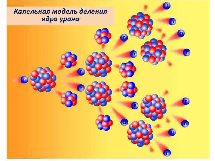 Капельная модель деления ядра урана 