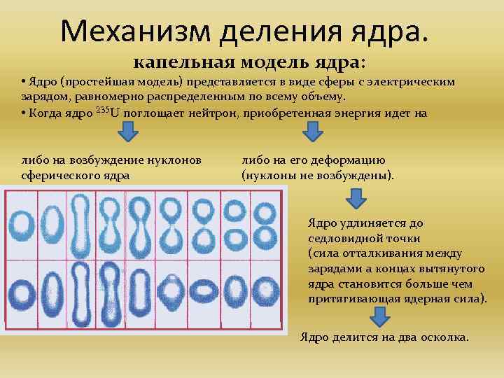 Механизм деления ядра. капельная модель ядра: • Ядро (простейшая модель) представляется в виде сферы