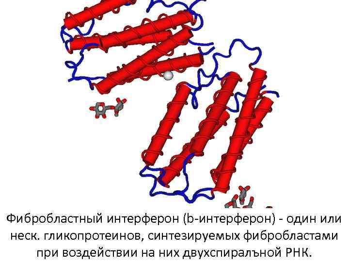 Индуцированный интерферон