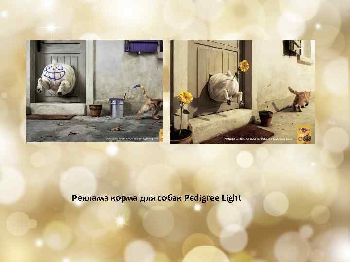 Реклама корма для собак Pedigree Light 