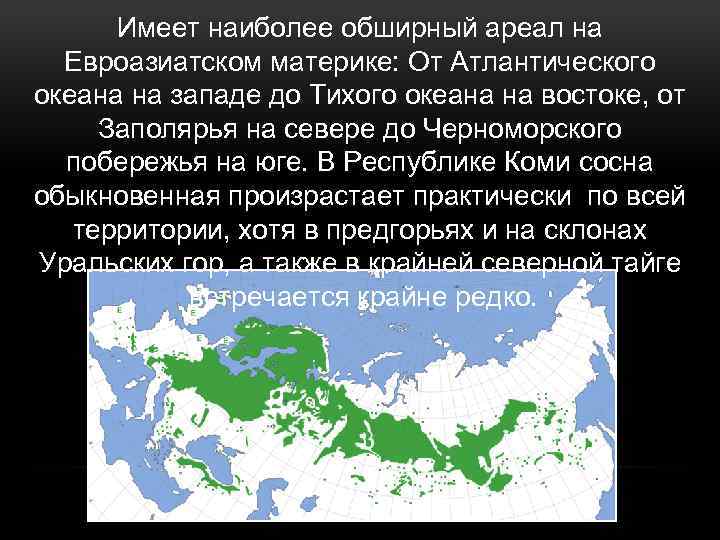 Имеет наиболее обширный ареал на Евроазиатском материке: От Атлантического океана на западе до Тихого