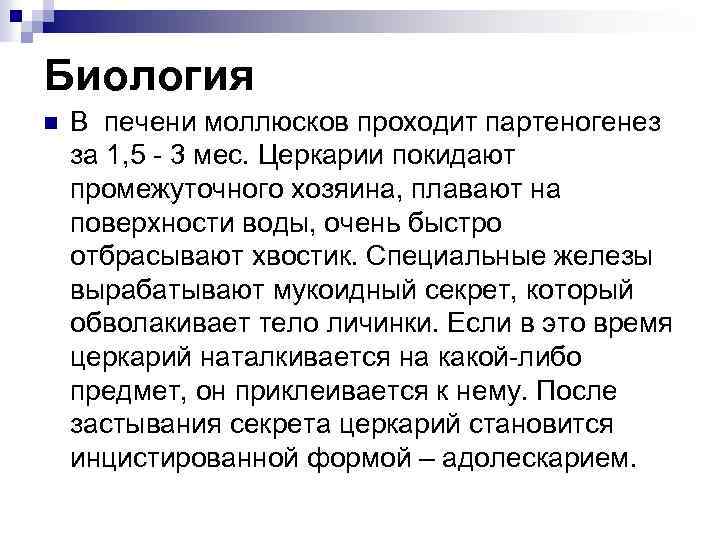 Биология n В печени моллюсков проходит партеногенез за 1, 5 - 3 мес. Церкарии